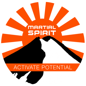 Brazilian Jiu-Jitsu Brunswick West - Martial Spirit